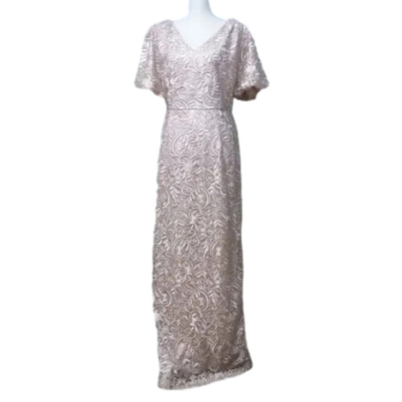 JS COLLECTIONS RIVER PUFF SLEEVE lace COLUMN GOWN dress Size 8 Blush new!!! - Picture 11 of 16